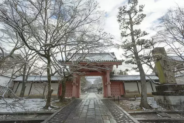 【雪の京都2024】深々と降る雪が心にしみる風景「真如堂」