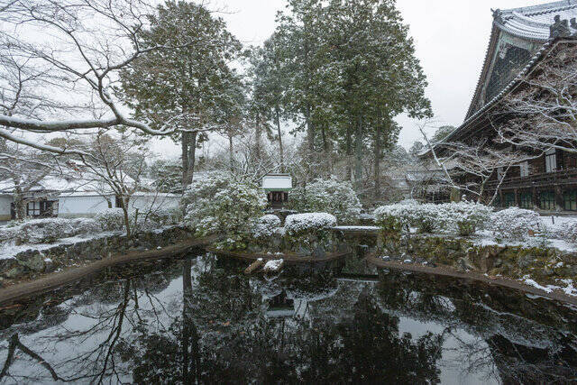 【雪の京都2024】深々と降る雪が心にしみる風景「真如堂」
