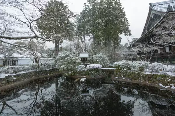 「【雪の京都2024】深々と降る雪が心にしみる風景「真如堂」」の画像