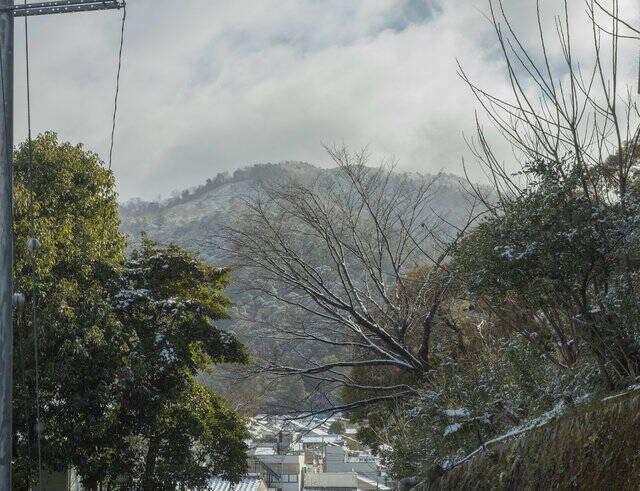 【雪の京都2024】深々と降る雪が心にしみる風景「真如堂」