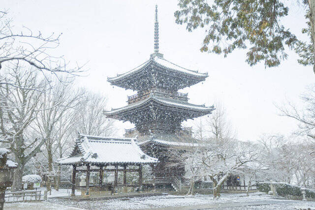 【雪の京都2024】深々と降る雪が心にしみる風景「真如堂」