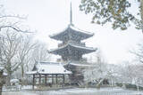 「【雪の京都2024】深々と降る雪が心にしみる風景「真如堂」」の画像3
