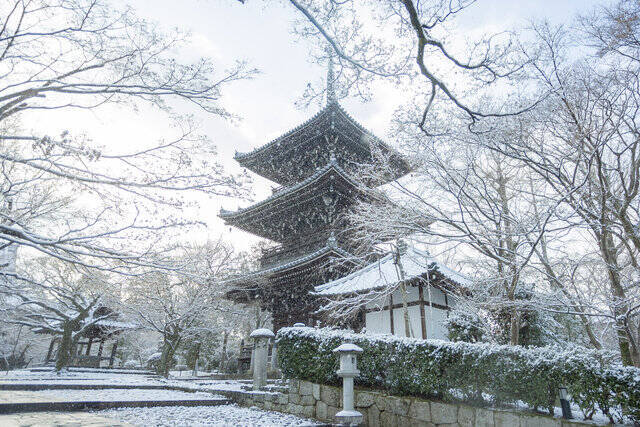 【雪の京都2024】深々と降る雪が心にしみる風景「真如堂」