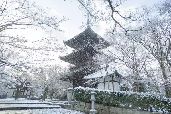 「【雪の京都2024】深々と降る雪が心にしみる風景「真如堂」」の画像