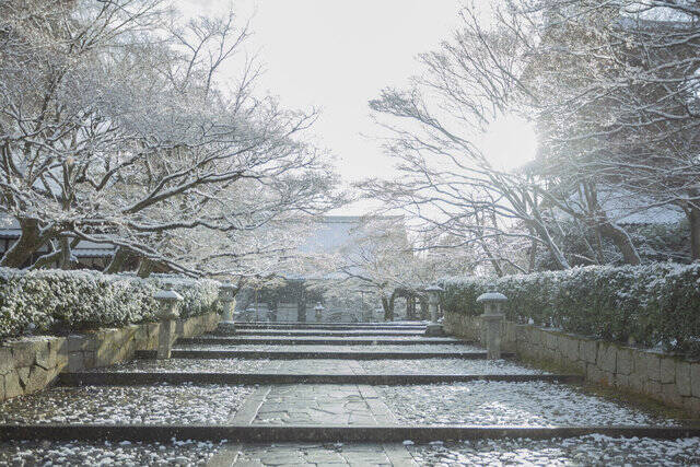 【雪の京都2024】深々と降る雪が心にしみる風景「真如堂」