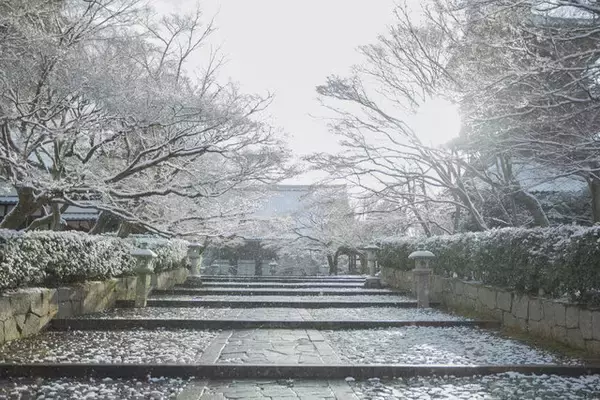 「【雪の京都2024】深々と降る雪が心にしみる風景「真如堂」」の画像