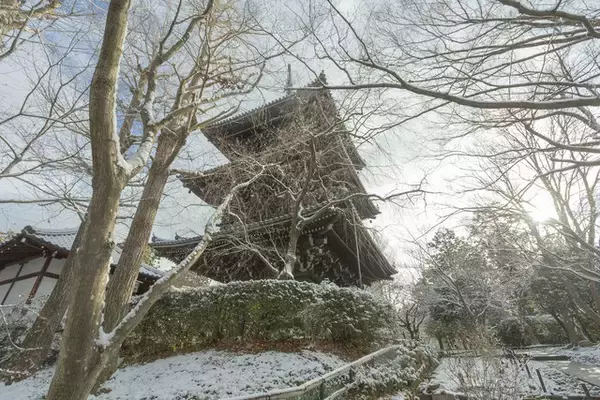 「【雪の京都2024】深々と降る雪が心にしみる風景「真如堂」」の画像