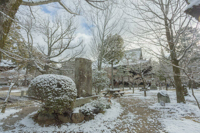 【雪の京都2024】深々と降る雪が心にしみる風景「真如堂」