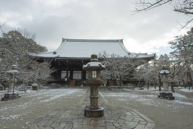 【雪の京都2024】深々と降る雪が心にしみる風景「真如堂」
