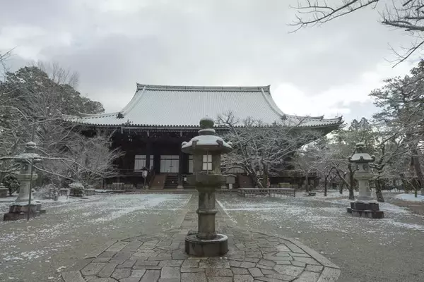 「【雪の京都2024】深々と降る雪が心にしみる風景「真如堂」」の画像
