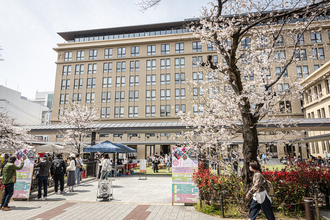 【京都】桜開花！「高瀬川さくら祭り」3/28(土)、29(日) 開催！【立誠ガーデンヒューリック京都】