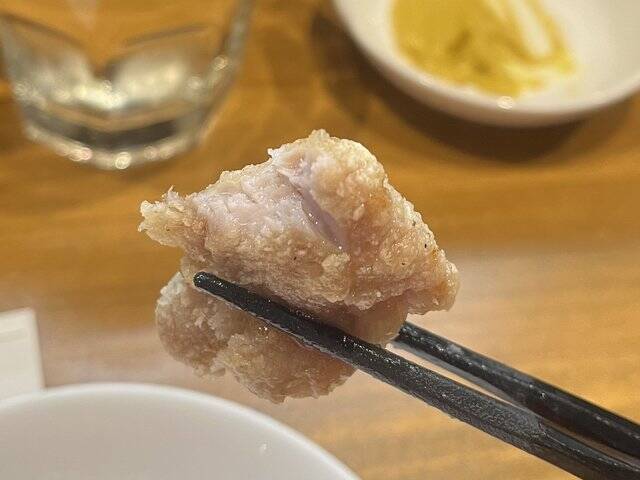 あっさり味の京中華♩ツンと辛いがクセになる名物〝カラシソバ〟『鳳舞楼』