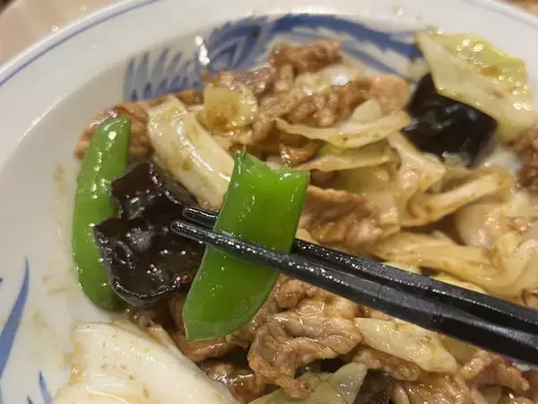 「あっさり味の京中華♩ツンと辛いがクセになる名物〝カラシソバ〟『鳳舞楼』」の画像