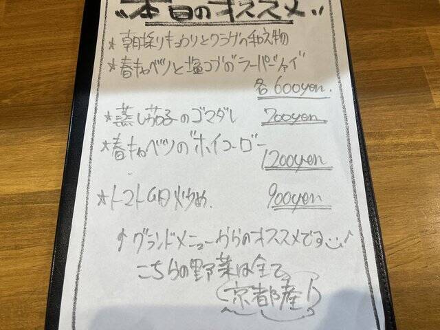 あっさり味の京中華♩ツンと辛いがクセになる名物〝カラシソバ〟『鳳舞楼』