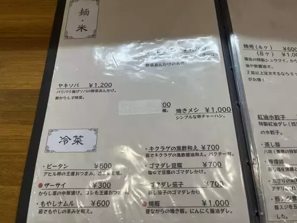 「あっさり味の京中華♩ツンと辛いがクセになる名物〝カラシソバ〟『鳳舞楼』」の画像