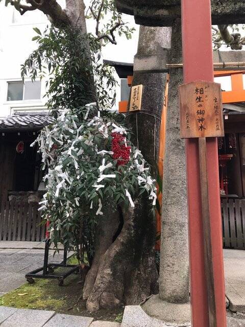 【京都神社】京都駅からスグ☆受験生必訪の菅原道真公祀る天神信仰発祥地「文子天満宮」
