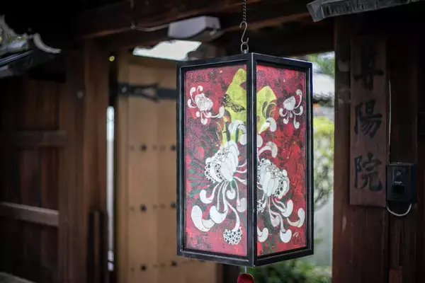 「”力強さと優しさを併せ持つ美”☆尊陽院の「いのりの天井画」公開【京都・本法寺塔頭】」の画像