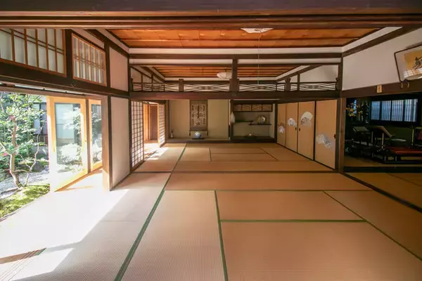 「”力強さと優しさを併せ持つ美”☆尊陽院の「いのりの天井画」公開【京都・本法寺塔頭】」の画像