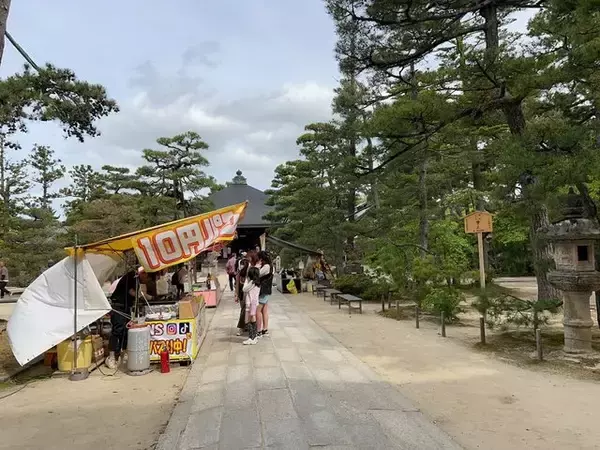 「【海の京都】日本三景・天橋立にあるネコのいるお寺☆文殊の知恵にあやかれる「智恩寺」」の画像