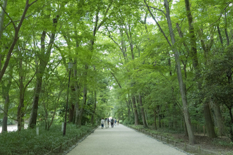 【京都】真夏の風物詩！足元ひんやり♪ 無病息災を願う「下鴨神社 みたらし祭」