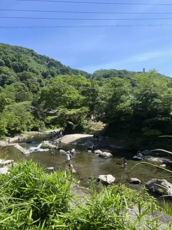 「【京都市左京区】〝食〟と〝遊び〟を体験できるアウトドアフェスティバル『やせのそとあそび』」の画像