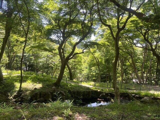 【京都市左京区】〝食〟と〝遊び〟を体験できるアウトドアフェスティバル『やせのそとあそび』