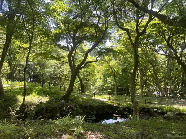 「【京都市左京区】〝食〟と〝遊び〟を体験できるアウトドアフェスティバル『やせのそとあそび』」の画像