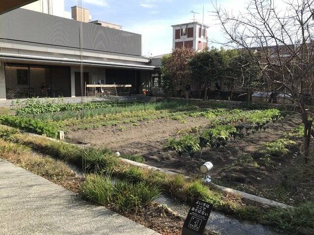 【保存版】京都オススメの身体喜ぶ野菜ランチ☆行列必至店から台湾素食まで【厳選７店】
