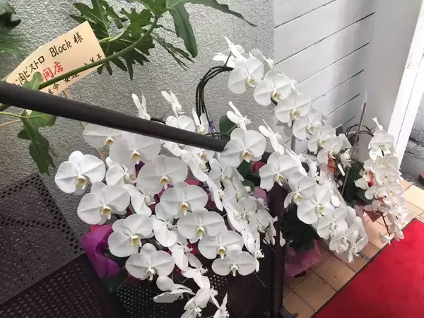 「【京都ランチ】祇園祭で沸く四条烏丸で手軽に国産牛ステーキを「お肉ビストロブロック」」の画像