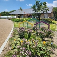 京都南部のドライブで寄りたい！進化型公園に併設、地元民御用達の手打ちそば店「楽庵」