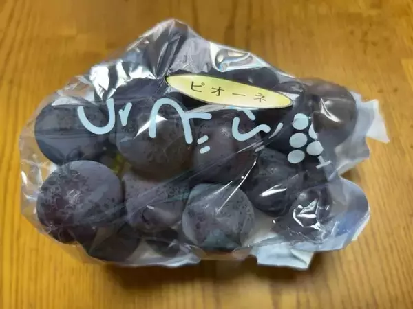 「【お盆グルメ】京都市内の超穴場ぶどう名産地☆人気品種シャインマスカットも「寺本農園」」の画像