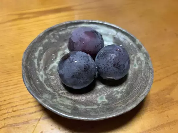 「【お盆グルメ】京都市内の超穴場ぶどう名産地☆人気品種シャインマスカットも「寺本農園」」の画像