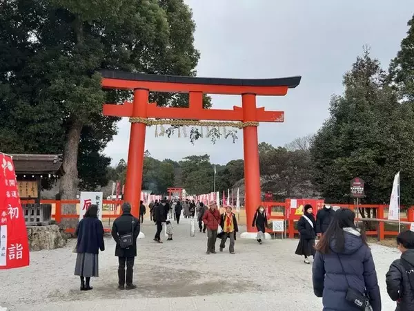 「【京都初詣2024】辰年こそ参拝したい龍神祀る摂社も☆1月7日は七草粥接待「上賀茂神社」」の画像