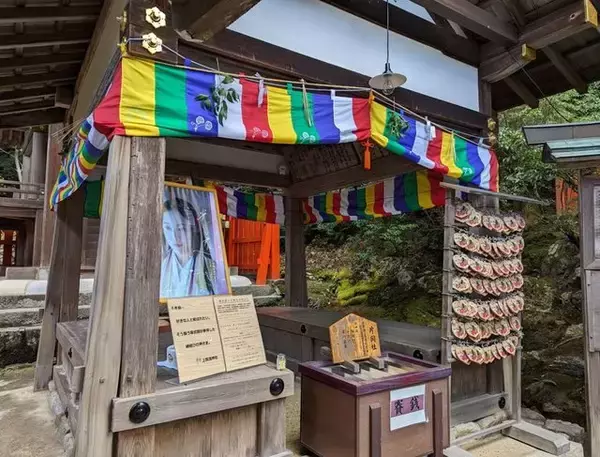 「世界遺産『上賀茂神社』で邪気を祓う神馬の儀式～白馬奏覧神事～」の画像