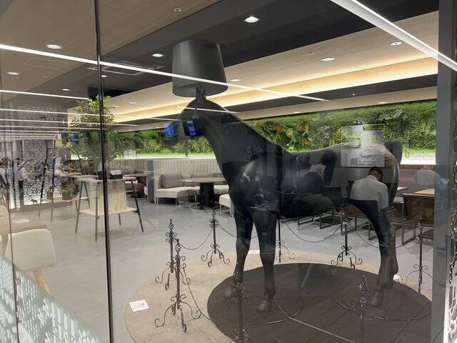 【京都競馬場】グランドオープンに東京スカパラも登場！ココが新しくなってますます充実☆