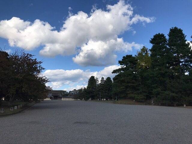 【2022京都紅葉】銀杏が見頃！行き場に困ったら季節の草花大体あります「京都御苑」