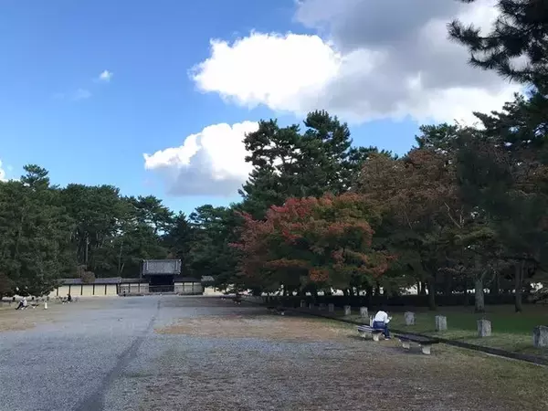 「【2022京都紅葉】銀杏が見頃！行き場に困ったら季節の草花大体あります「京都御苑」」の画像