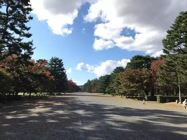 「【2022京都紅葉】銀杏が見頃！行き場に困ったら季節の草花大体あります「京都御苑」」の画像