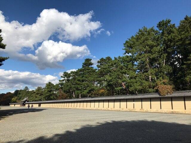 【2022京都紅葉】銀杏が見頃！行き場に困ったら季節の草花大体あります「京都御苑」