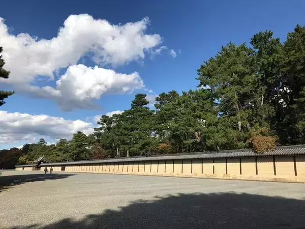 「【2022京都紅葉】銀杏が見頃！行き場に困ったら季節の草花大体あります「京都御苑」」の画像