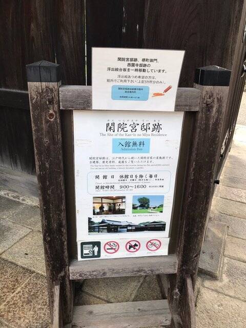 【2022京都紅葉】銀杏が見頃！行き場に困ったら季節の草花大体あります「京都御苑」