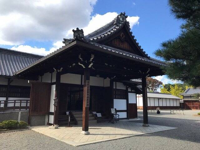 【2022京都紅葉】銀杏が見頃！行き場に困ったら季節の草花大体あります「京都御苑」