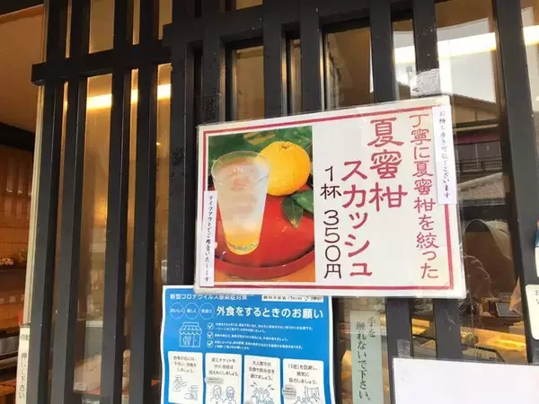 「【京都スイーツ】嵐山散策の神ドリンク！五臓六腑に染みる夏みかん味☆京菓子老舗「老松」」の画像