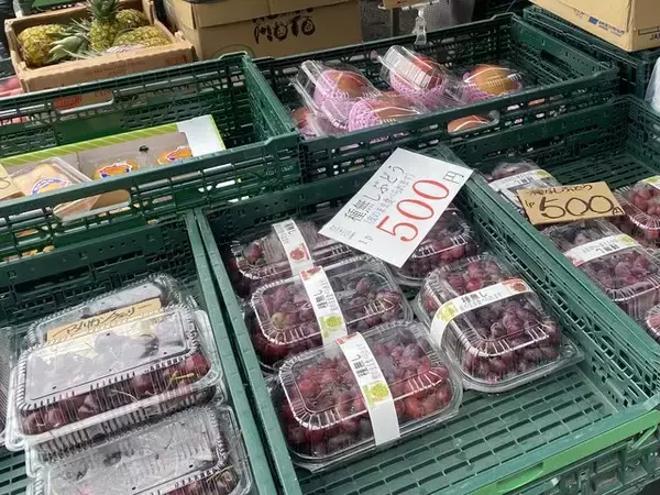 「早起きは三文の徳！採れたて新鮮野菜に旬の果物、色々あり〼！『大原わいわい朝市』」の画像