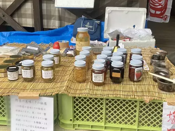 「早起きは三文の徳！採れたて新鮮野菜に旬の果物、色々あり〼！『大原わいわい朝市』」の画像