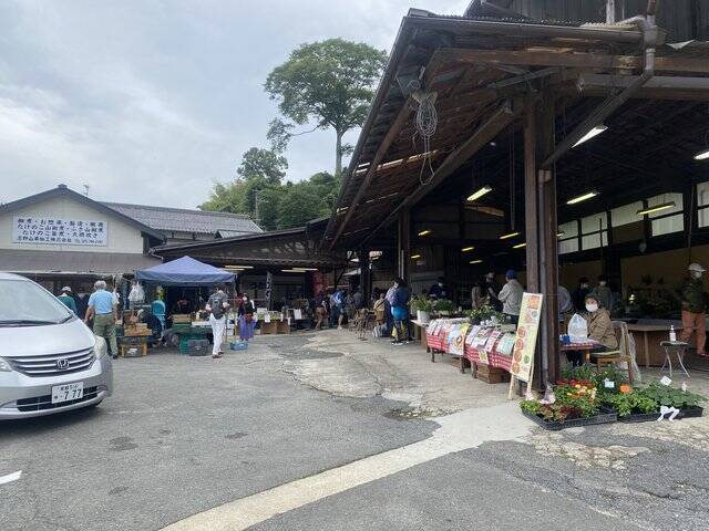 早起きは三文の徳！採れたて新鮮野菜に旬の果物、色々あり〼！『大原わいわい朝市』