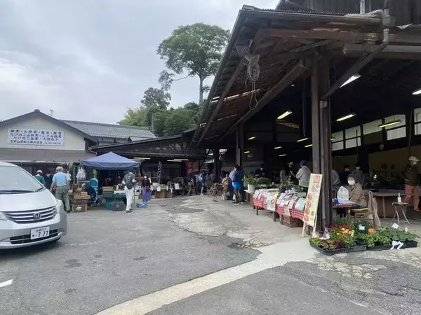 「早起きは三文の徳！採れたて新鮮野菜に旬の果物、色々あり〼！『大原わいわい朝市』」の画像