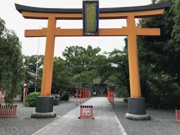【京都ぶらり】珍しい夏越の祓『茅の輪』づくり風景も☆桜の名所「平野神社」