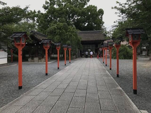 【京都ぶらり】珍しい夏越の祓『茅の輪』づくり風景も☆桜の名所「平野神社」