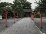 「【京都ぶらり】珍しい夏越の祓『茅の輪』づくり風景も☆桜の名所「平野神社」」の画像2
